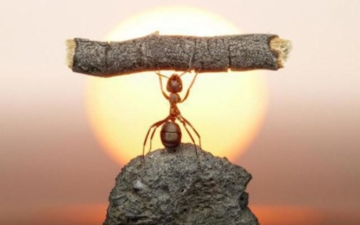 Стійкість. Модуль 2. Cили діяти.